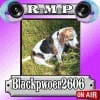 Blackpwoer2606